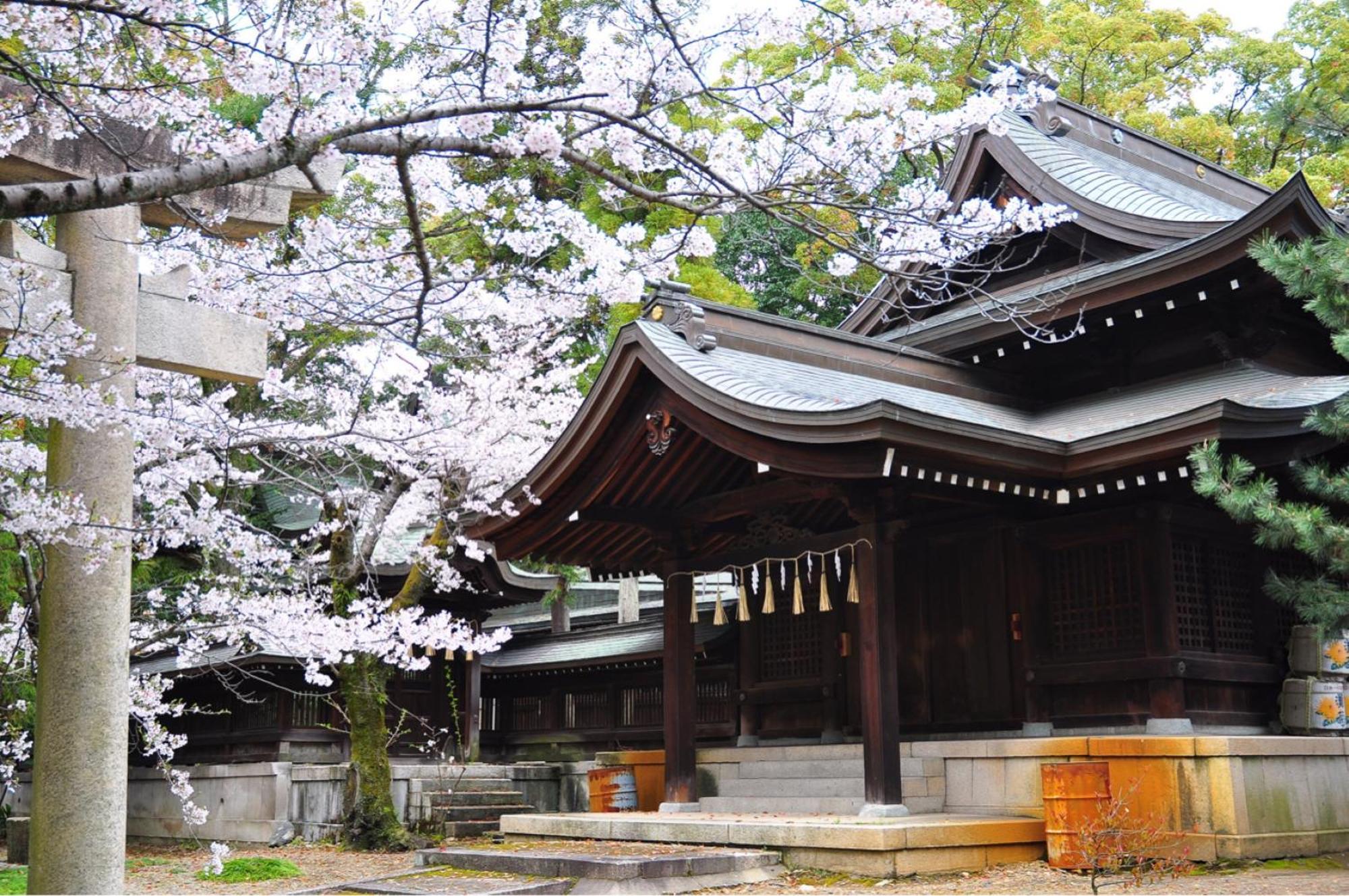 One Hostel Himeji Eksteriør bilde